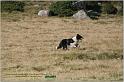 IMG_8819w