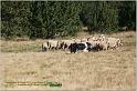 IMG_8832w