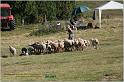 IMG_8833w