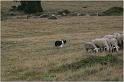 IMG_8257w