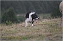 IMG_8258w