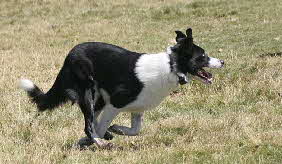 boy_IMG_9083w
