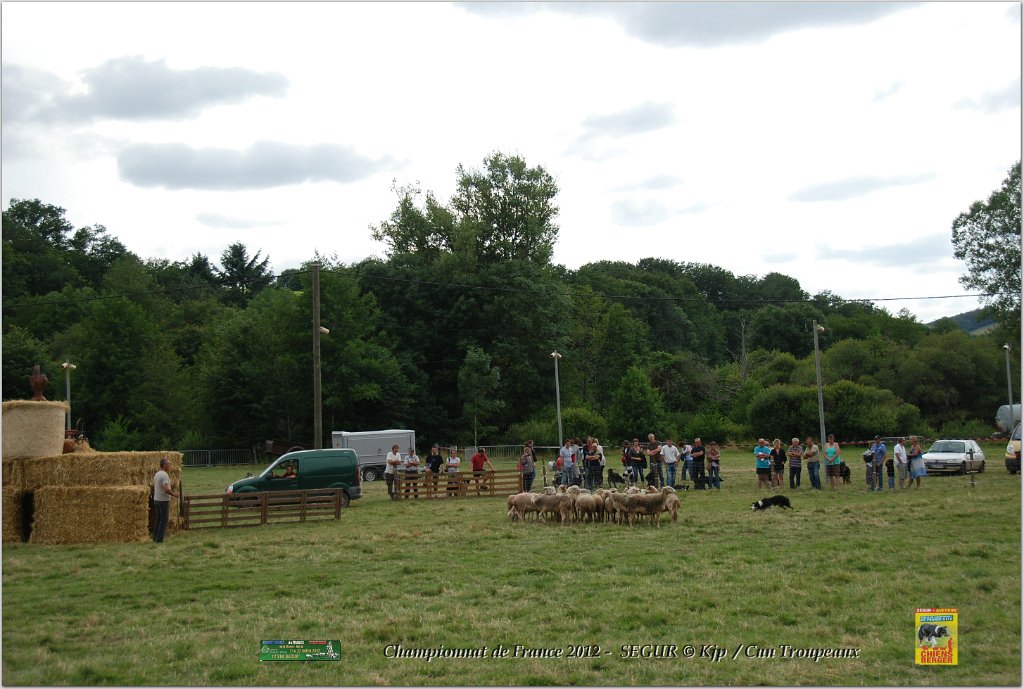 DSC_7746w.jpg