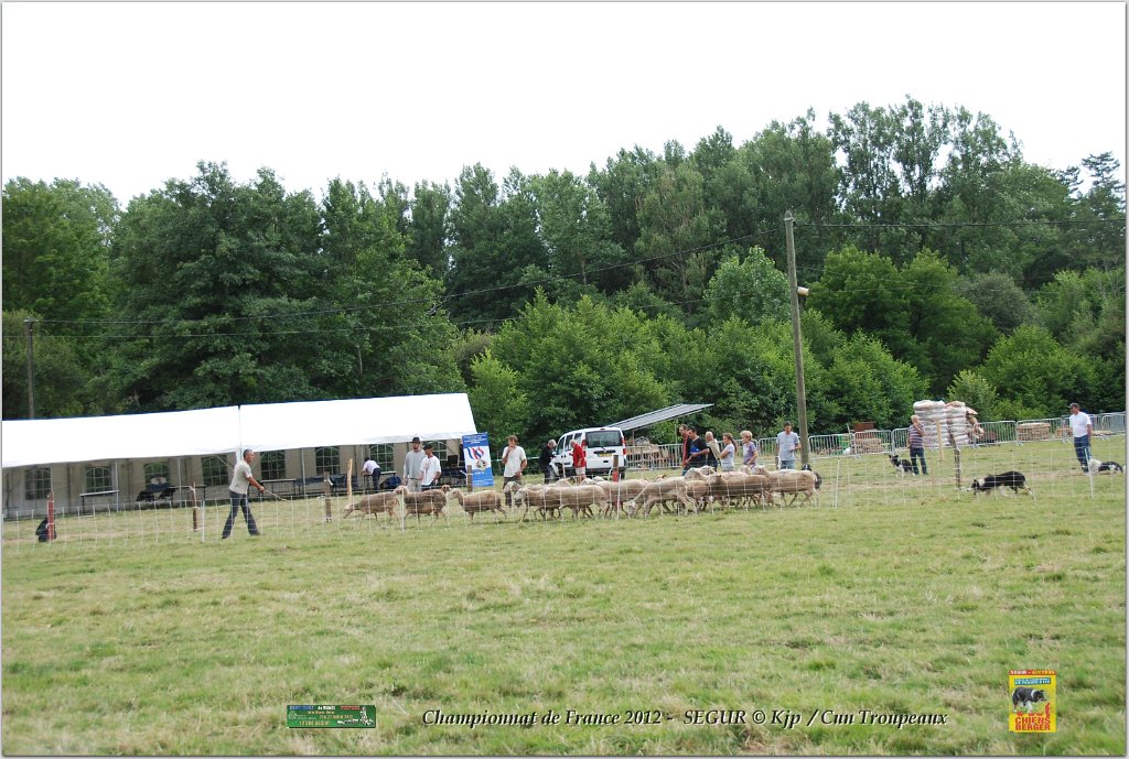 DSC_7797w.jpg