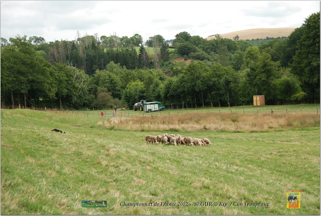 DSC_7831w.jpg