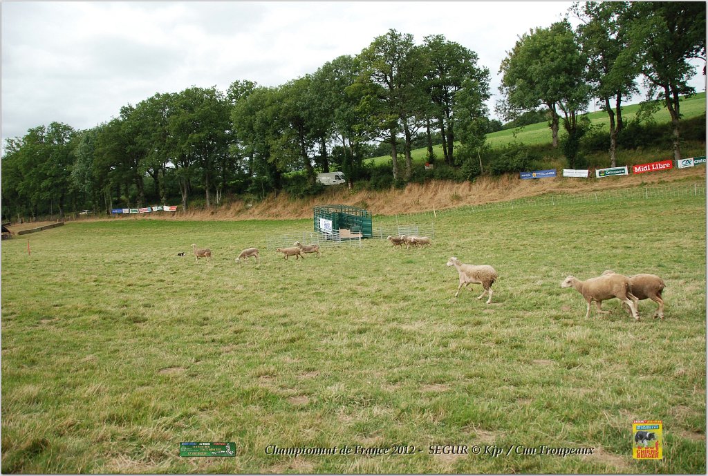 DSC_7870w.jpg