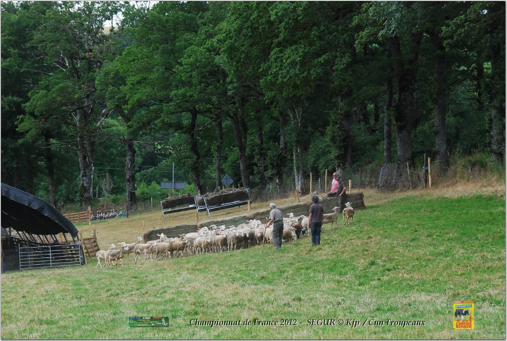 DSC_7472w.jpg