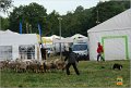 DSC_2133w