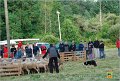 DSC_2164w