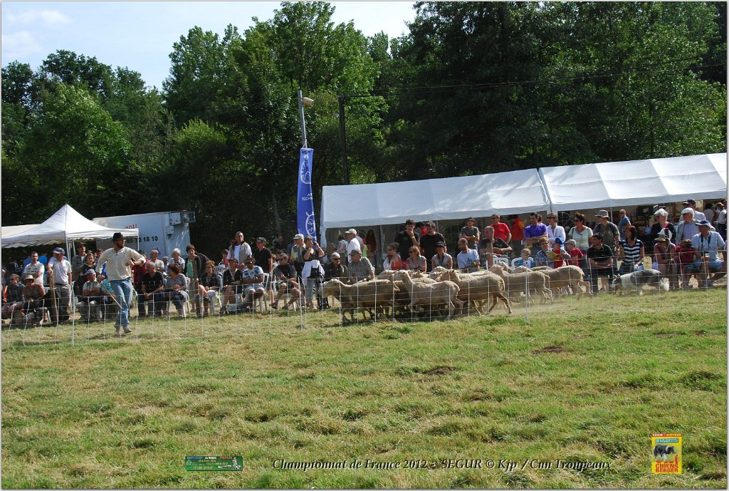 DSC_5370w.jpg