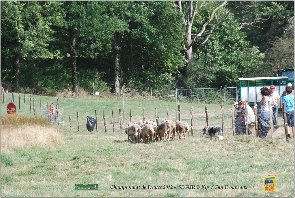 DSC_5406w.jpg