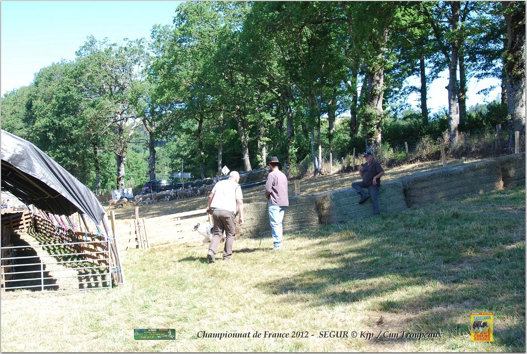 DSC_9501w.jpg