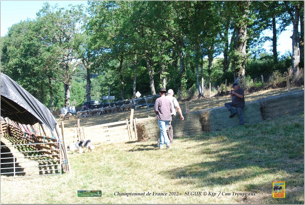 DSC_9502w.jpg