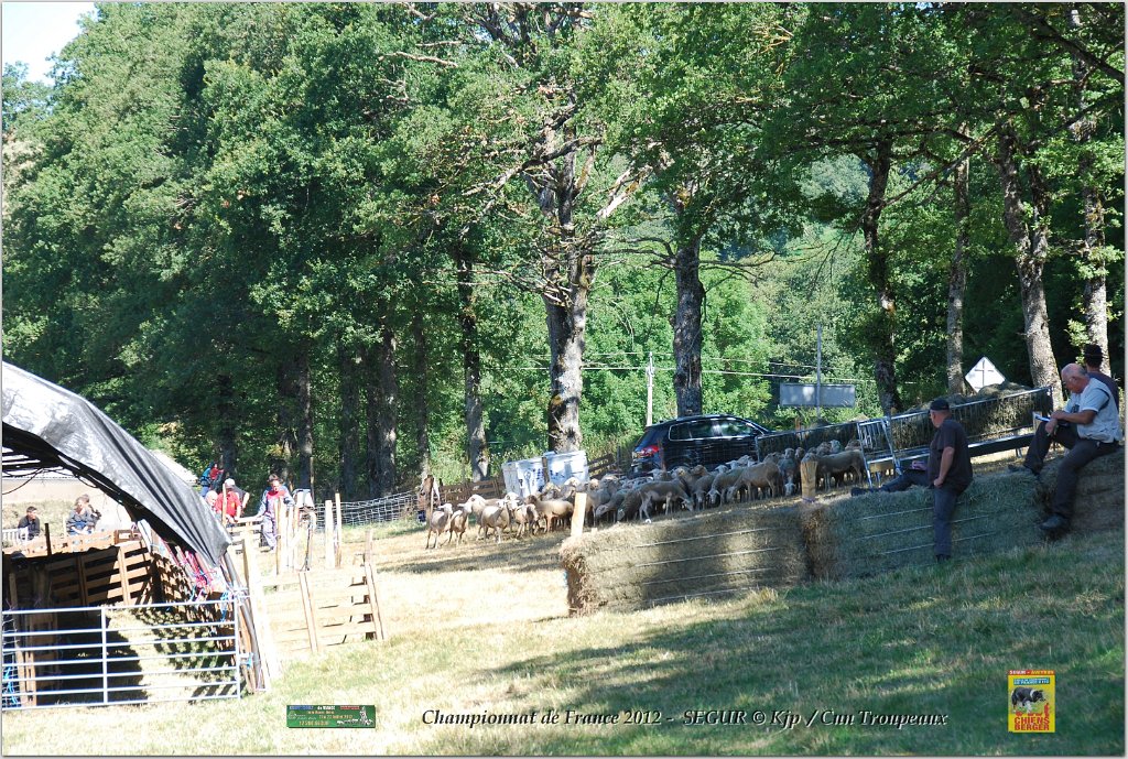 DSC_9506w.jpg