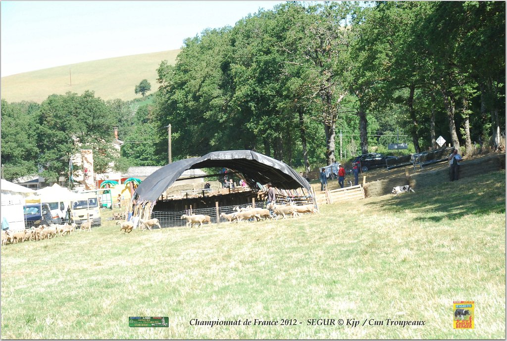 DSC_9515w.jpg