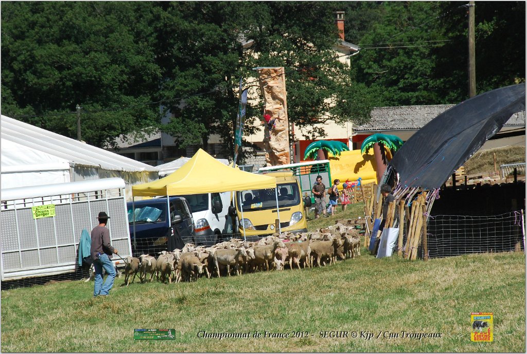 DSC_9519w.jpg