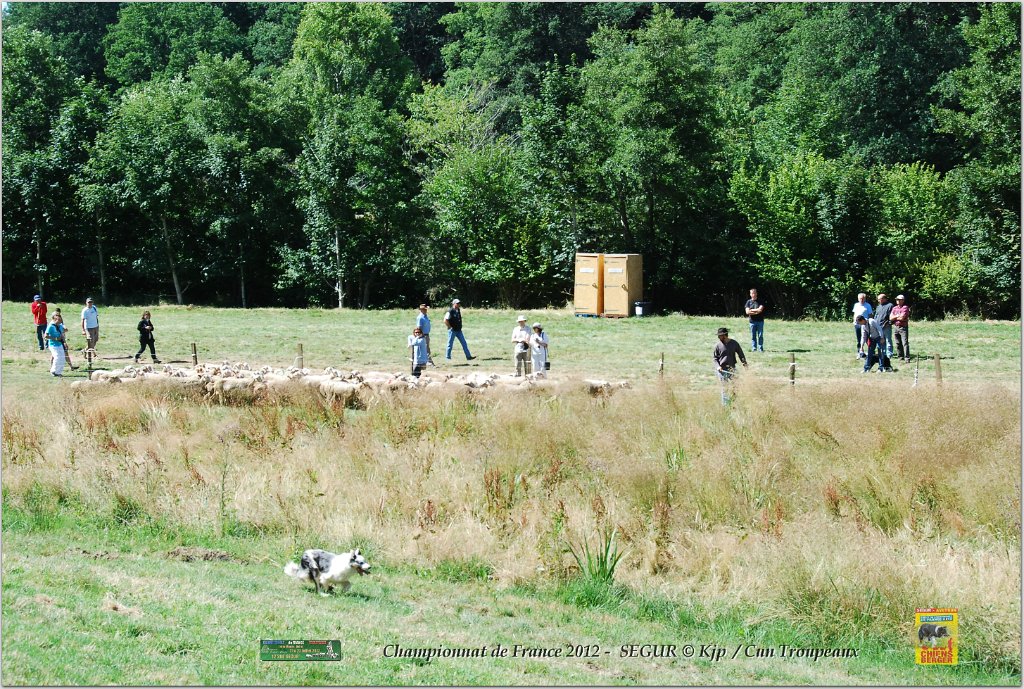 DSC_9607w.jpg