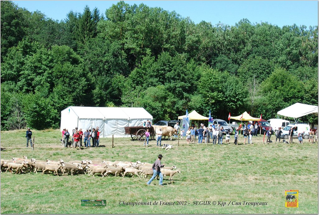 DSC_9610w.jpg