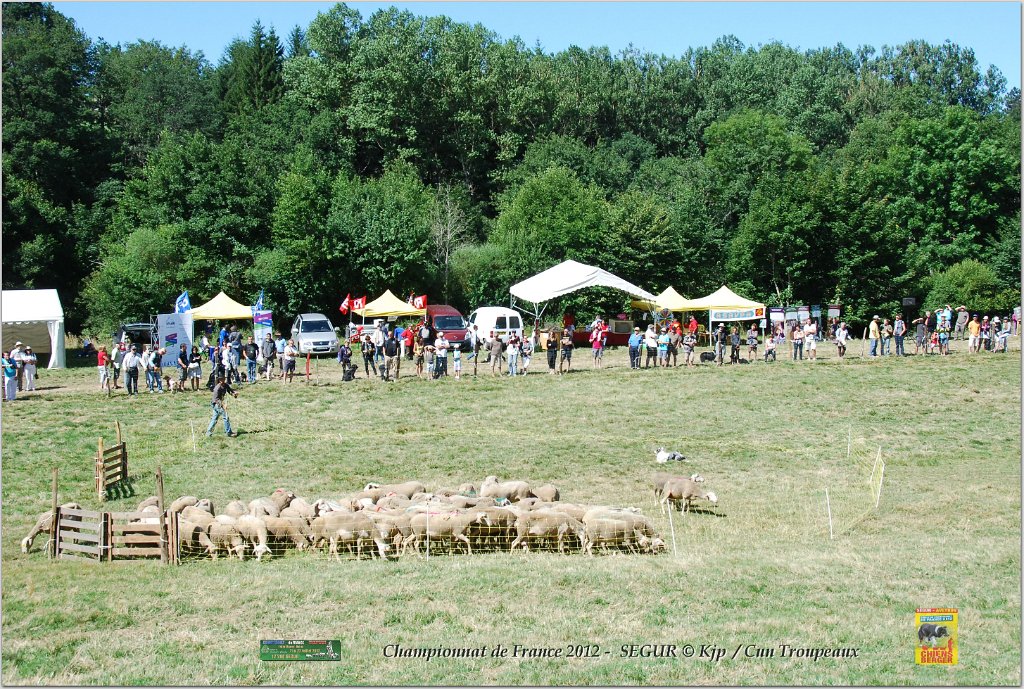 DSC_9625w.jpg