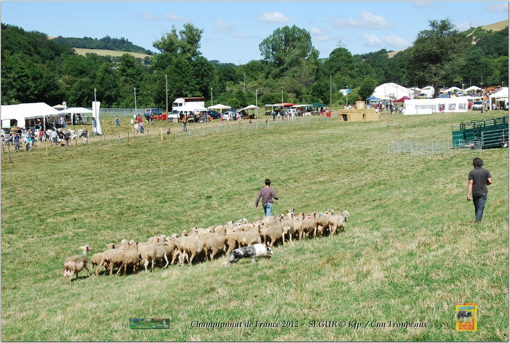 DSC_9640w.jpg