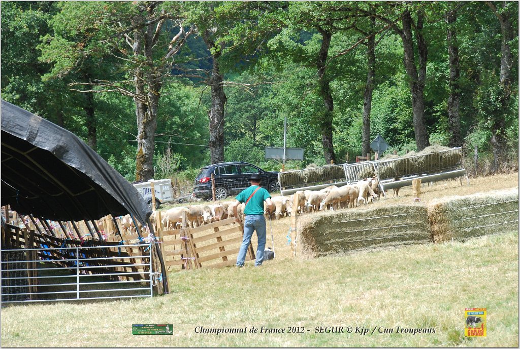 DSC_0488w.jpg