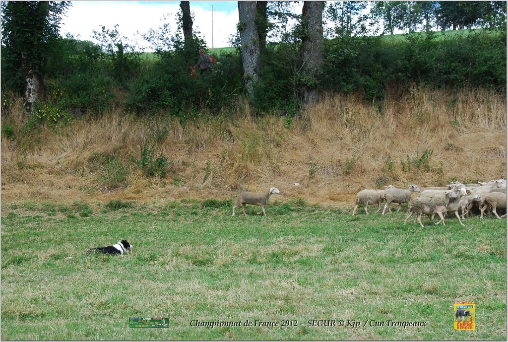 DSC_0520w.jpg
