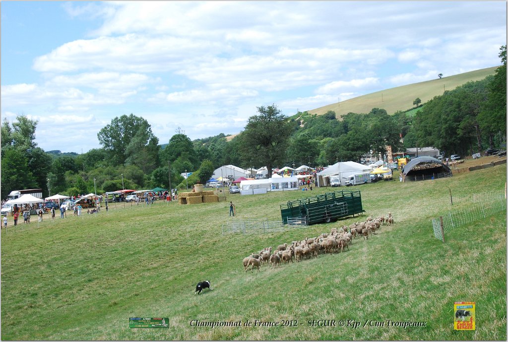 DSC_0641w.jpg