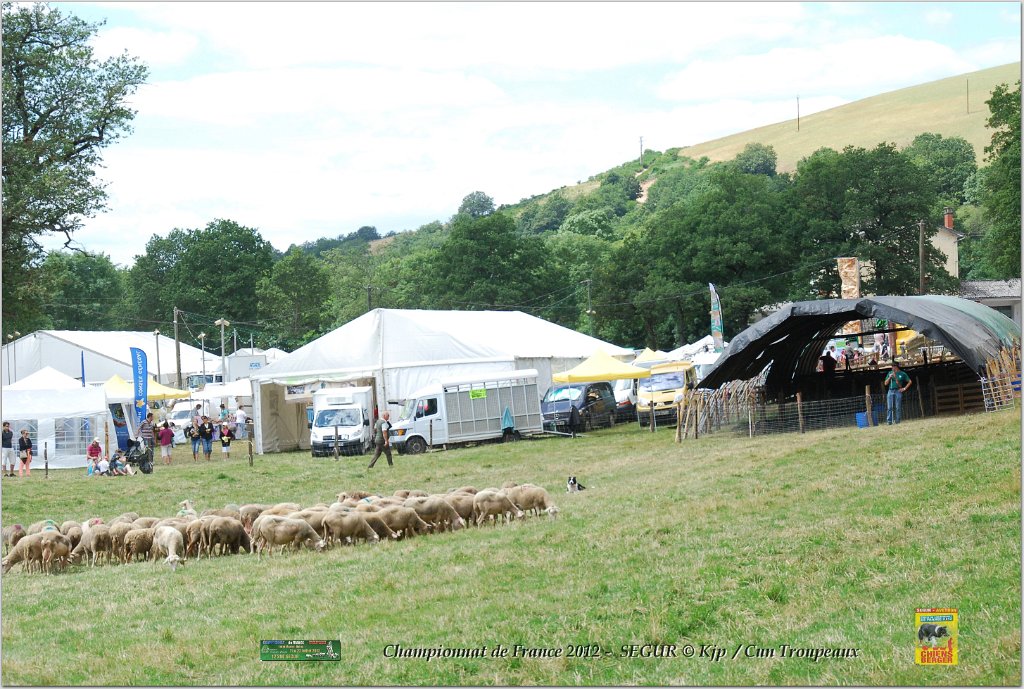 DSC_0663w.jpg