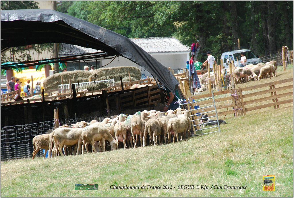 DSC_0672w.jpg
