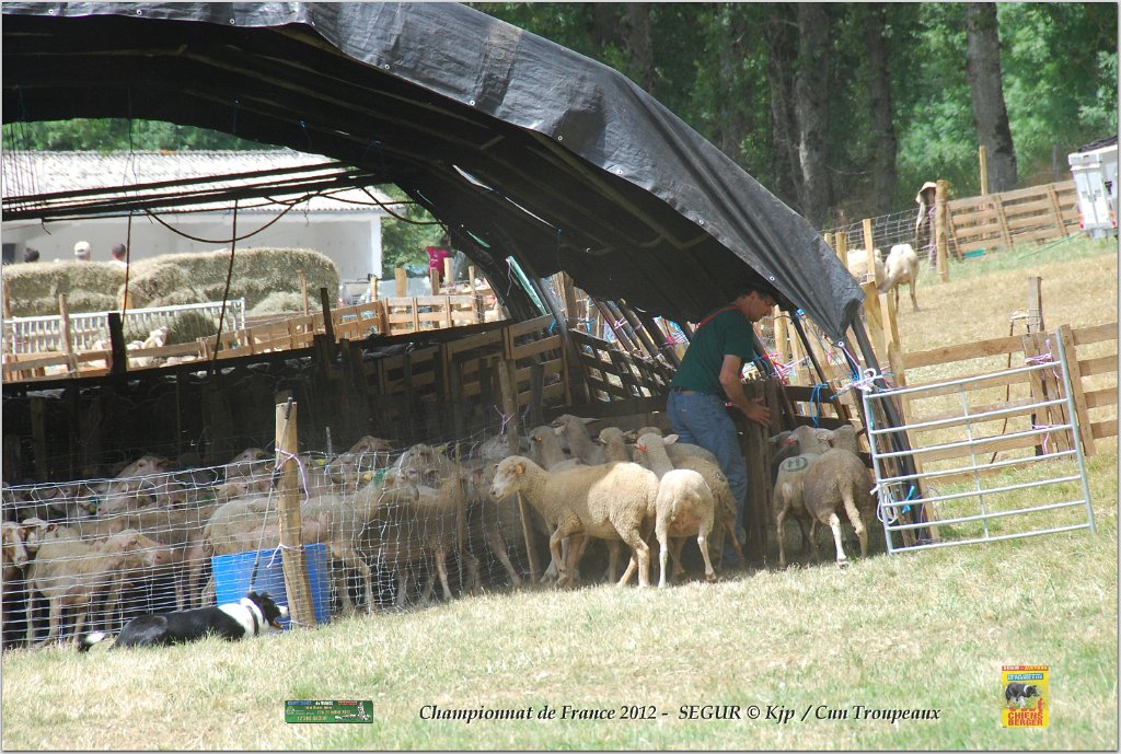 DSC_0677w.jpg