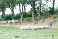 DSC_0511w