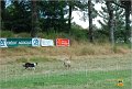 DSC_0531w