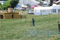 DSC_0613w