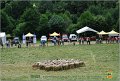 DSC_0616w