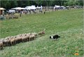 DSC_0637w