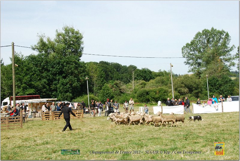 DSC_3128w.jpg