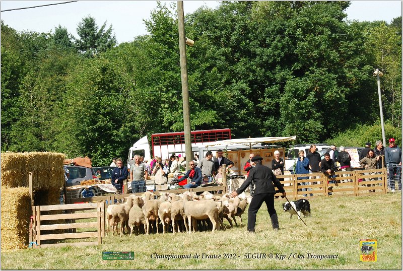 DSC_3136w.jpg