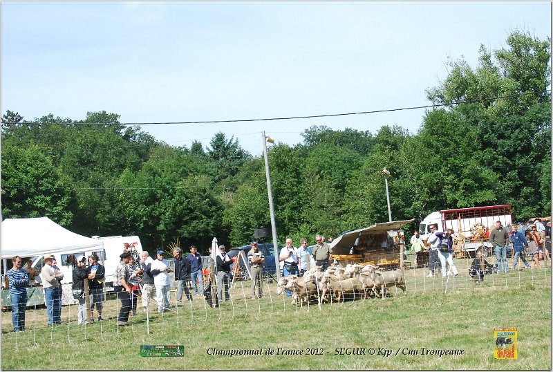 DSC_3152w.jpg