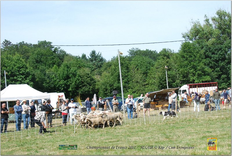 DSC_3153w.jpg