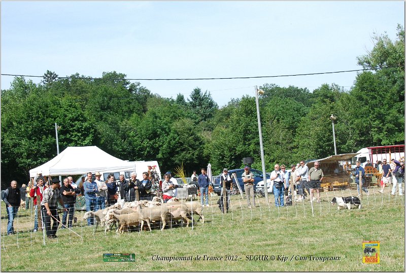 DSC_3155w.jpg