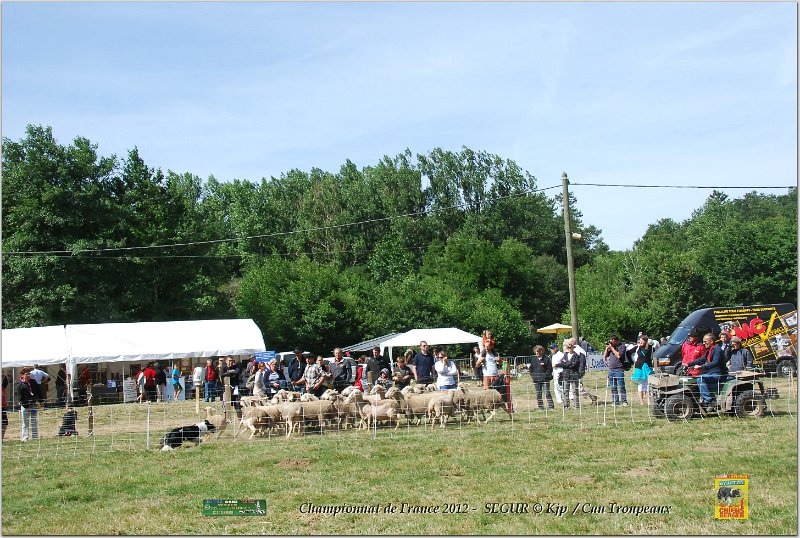 DSC_3159w.jpg