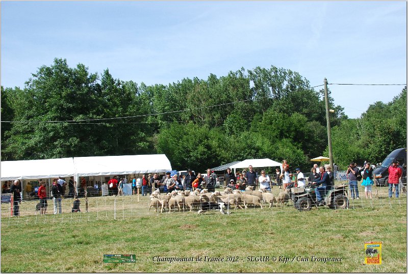 DSC_3160w.jpg