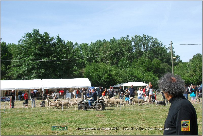 DSC_3163w.jpg