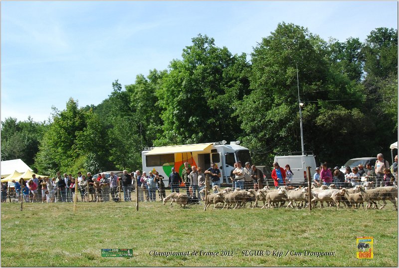 DSC_3167w.jpg