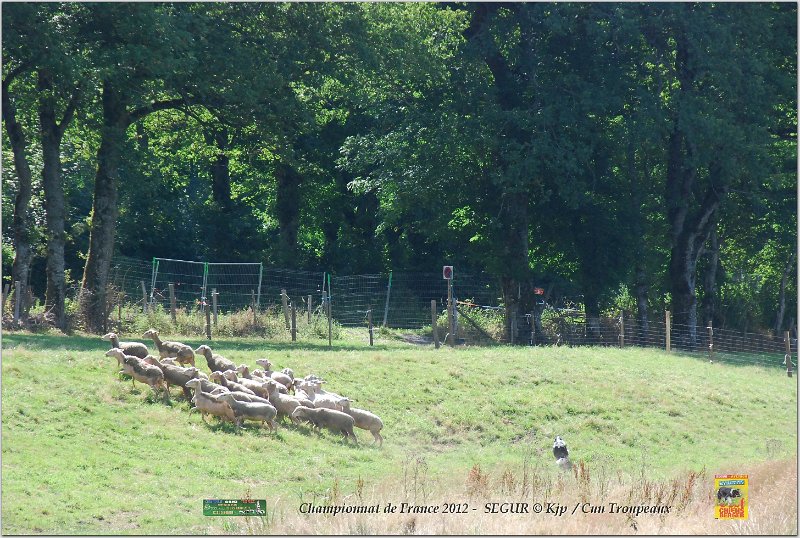 DSC_3201w.jpg