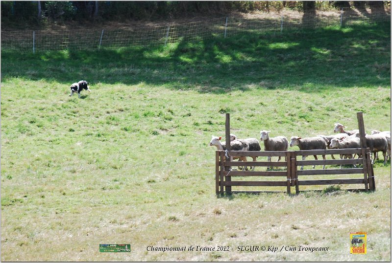 DSC_3204w.jpg
