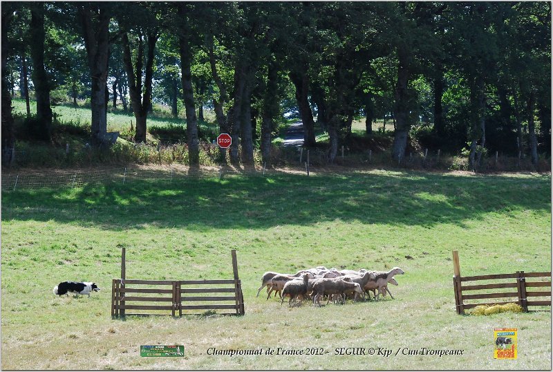 DSC_3206w.jpg