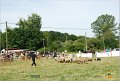 DSC_3128w