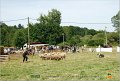 DSC_3129w