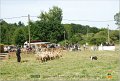 DSC_3131w
